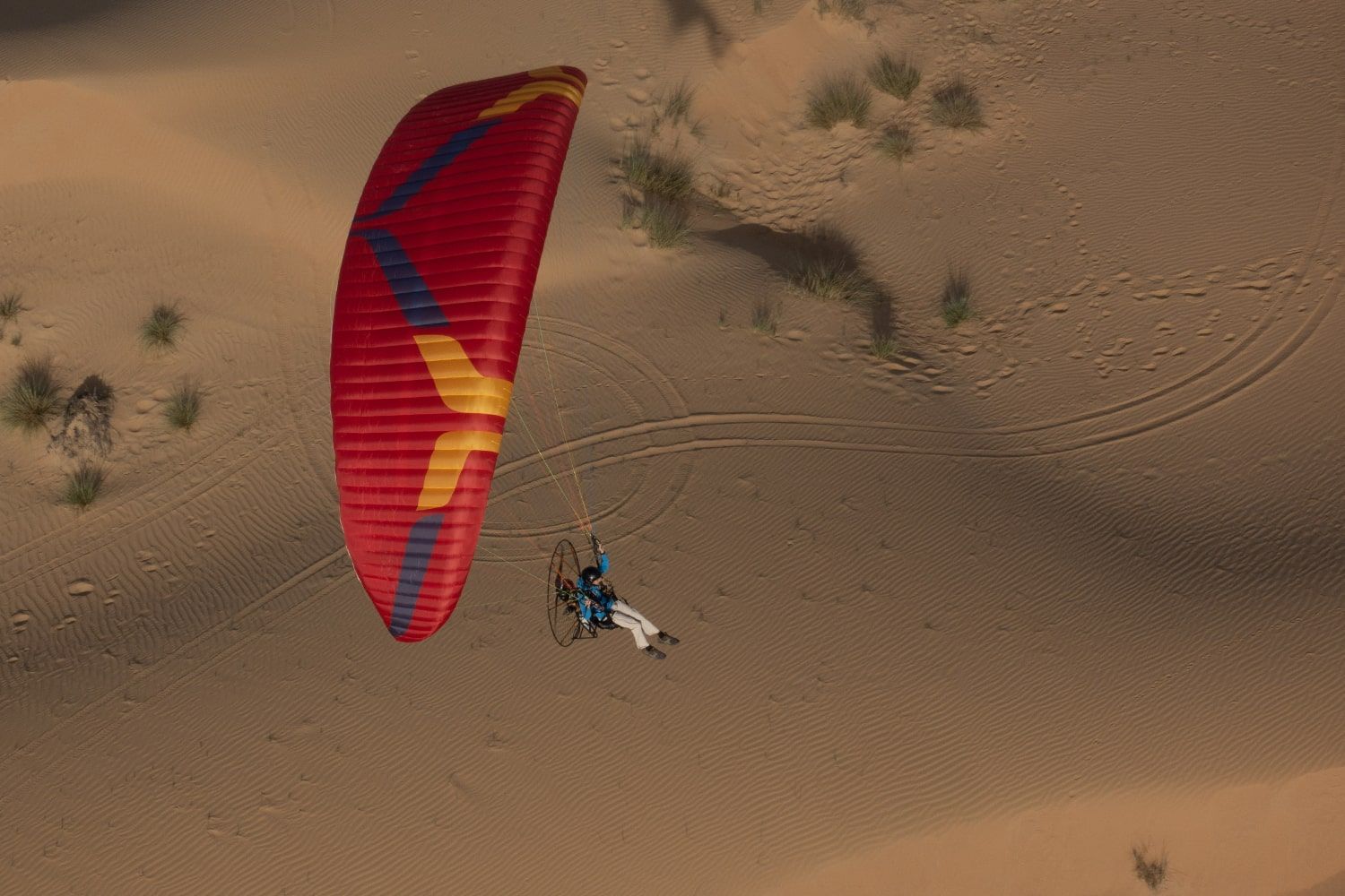 Speedster 3 Ozone