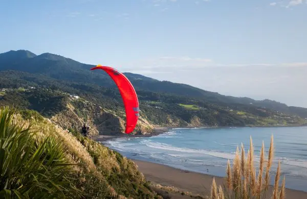 Ozone Viper 6 Paramotor wing