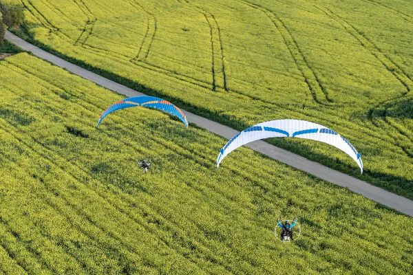 Ozone Viper 6 Paramotor wing