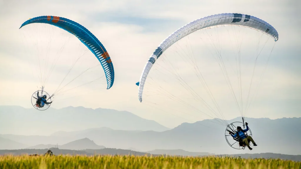 Ozone Viper 6 Paramotor wing