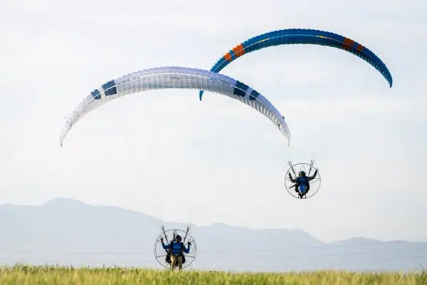 Ozone Viper 6 Paramotor wing